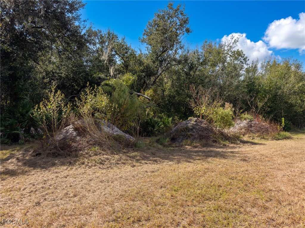 8355 SW Prairie Avenue Arcadia FL 34269 2025021234 image22