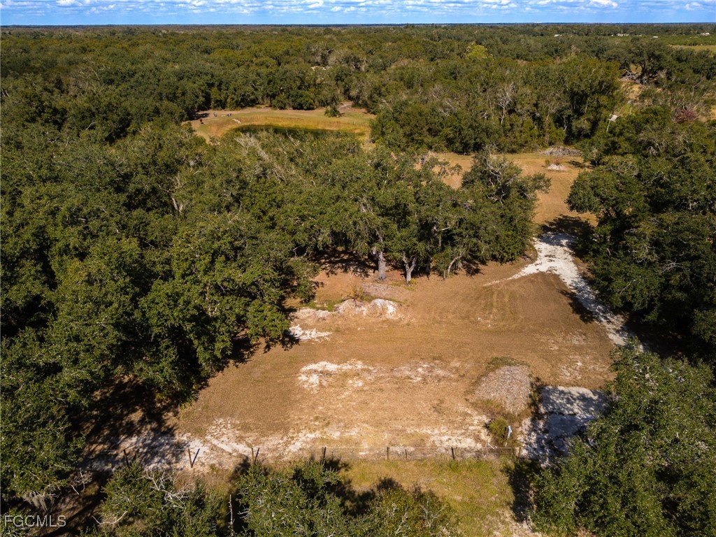 8355 SW Prairie Avenue Arcadia FL 34269 2025021234 image36