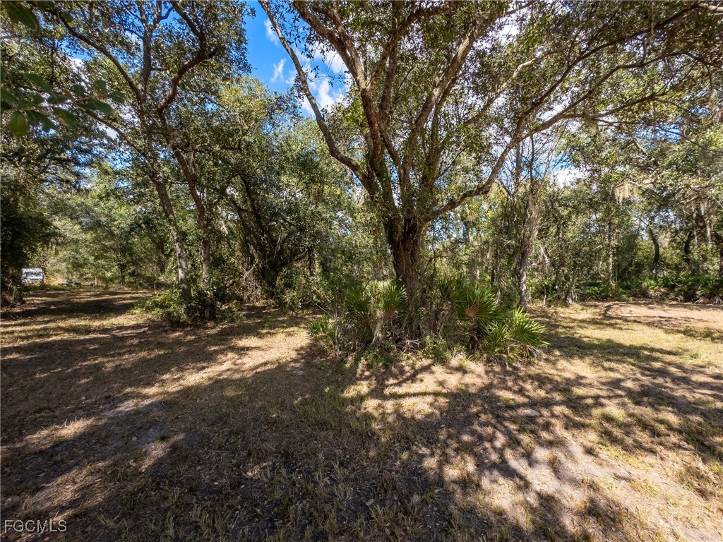 8355 SW Prairie Avenue Arcadia FL 34269 2025021234 image4