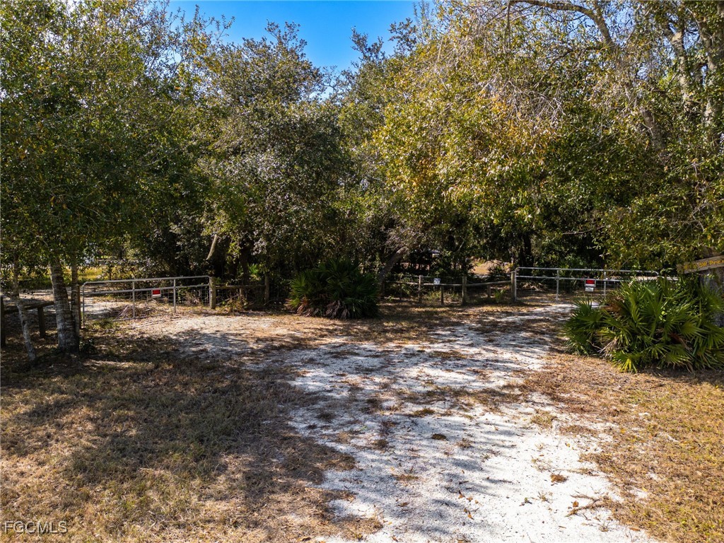 8355 SW Prairie Avenue Arcadia FL 34269 2025021234 image6