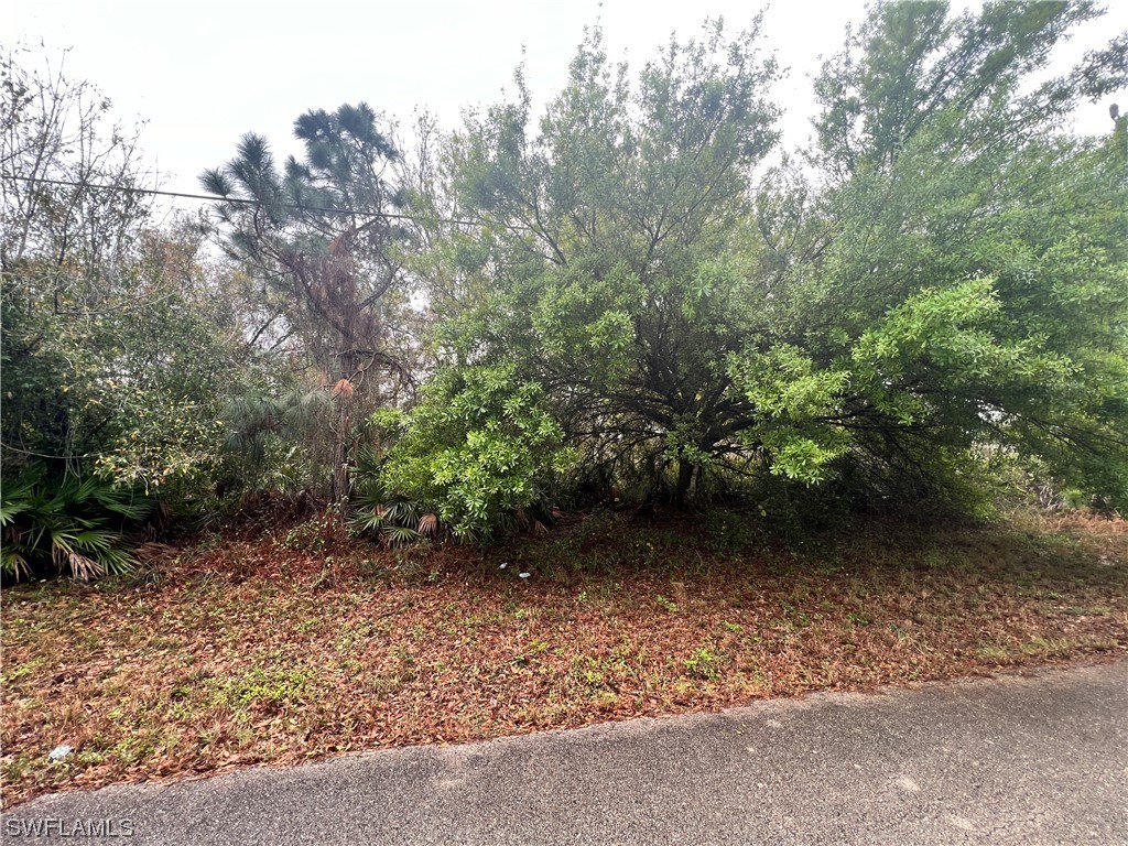 836 Carpenter Street E Lehigh Acres FL 33974 224020771 image1