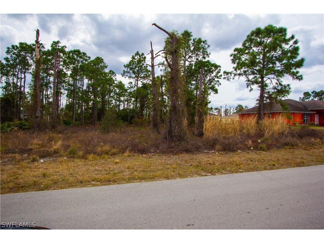 836 Palomino Street E Lehigh Acres FL 33974 222012464 image1