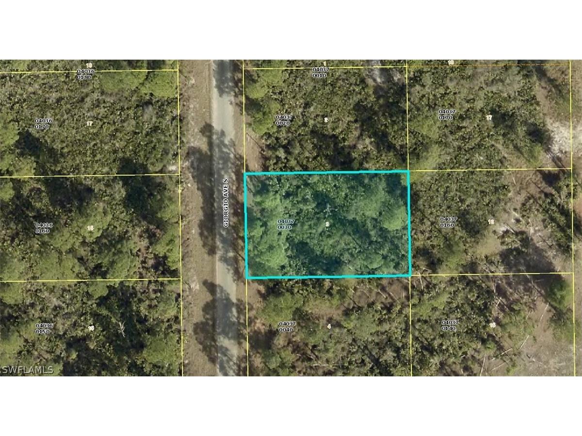 837 Giorgio Avenue S Lehigh Acres FL 33974 224048798 image1