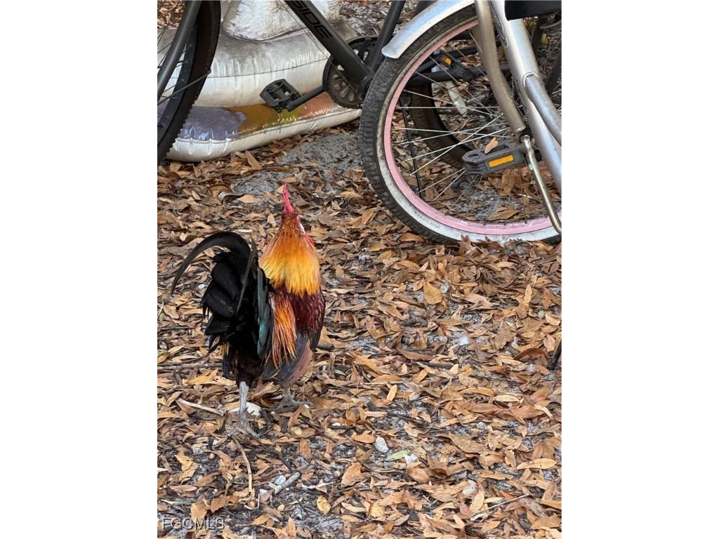 837 Pine Cone Avenue Clewiston FL 33440 2025021772 image17