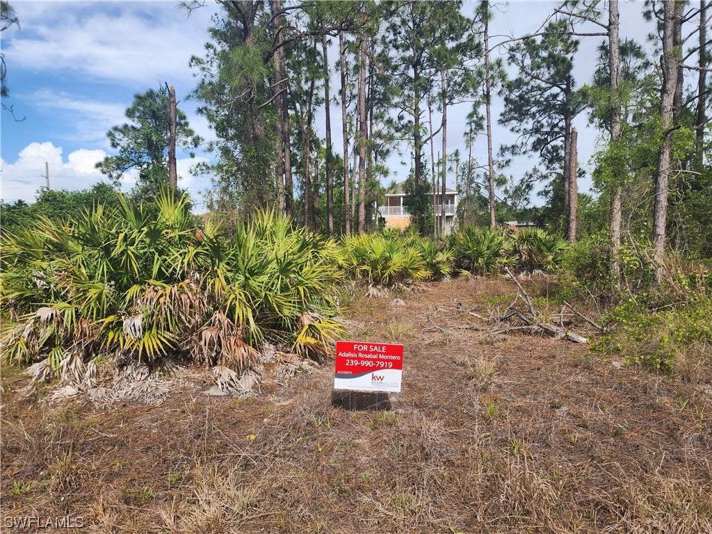 839 Burbank Avenue S Lehigh Acres FL 33974 223027360 image1