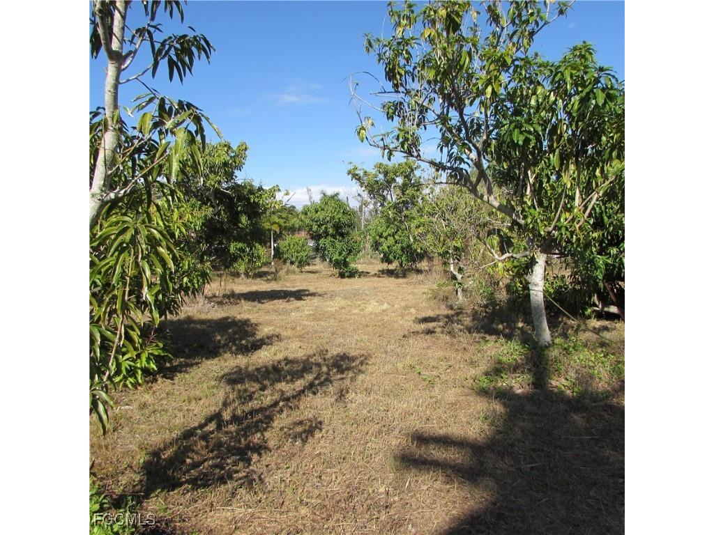 8390 Stringfellow Road Saint James City FL 33956 2026005021 image10