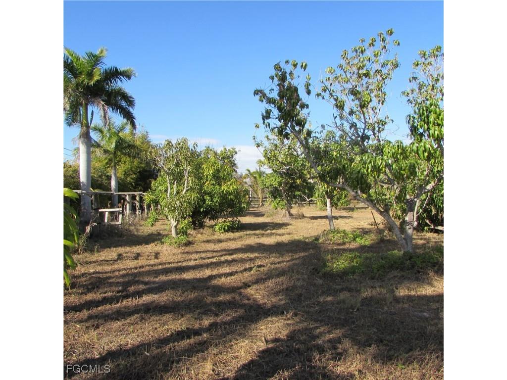 8390 Stringfellow Road Saint James City FL 33956 2026005021 image11
