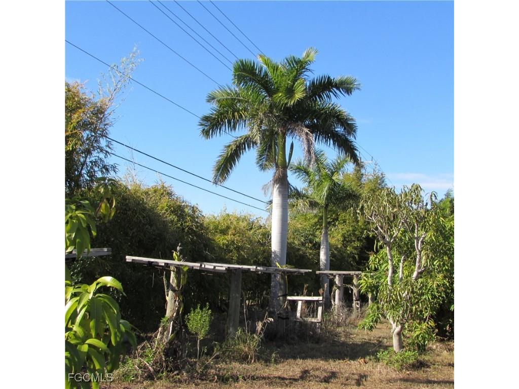 8390 Stringfellow Road Saint James City FL 33956 2026005021 image12