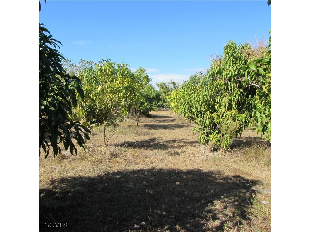 8390 Stringfellow Road Saint James City FL 33956 2026005021 image14