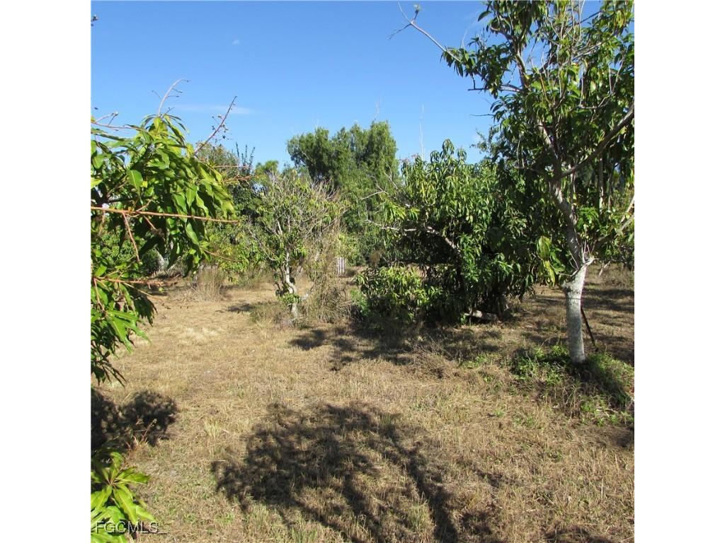 8390 Stringfellow Road Saint James City FL 33956 2026005021 image9