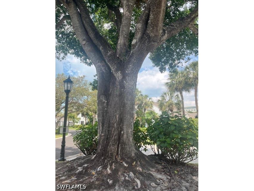 840 Meadowland Drive #J Naples FL 34108 226020745 image35