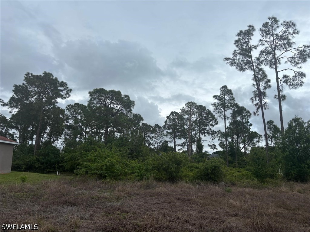 841 Puccini Avenue S Lehigh Acres FL 33974 226013040 image4