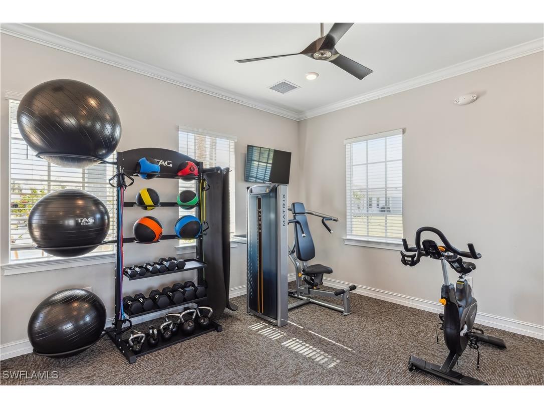 8411 Everly Preserve Drive Lehigh Acres FL 33971 225072737 image19