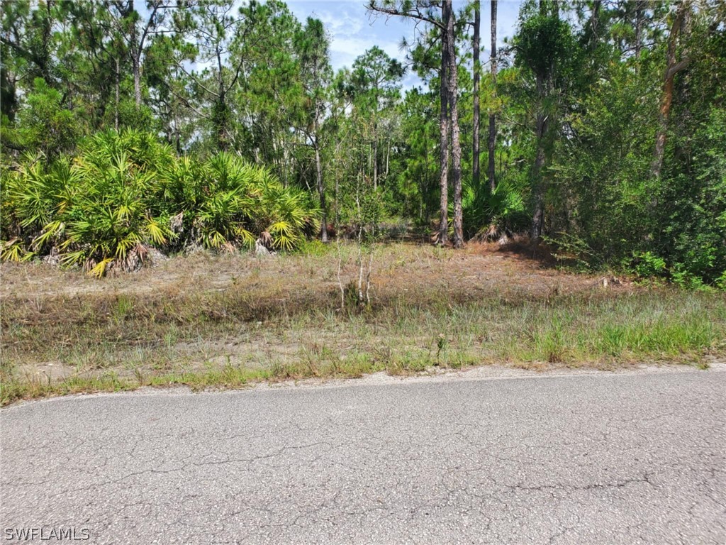 842 Glen Coy Avenue Lehigh Acres FL 33974 224057468 image1