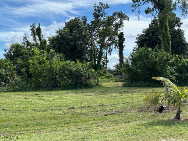 842 Whispering Pines Road Cape Coral FL 33993 2025008414 image2