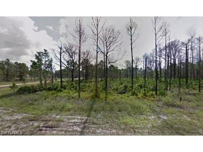 843 Downer Avenue S Lehigh Acres FL 33974 223036664 image1