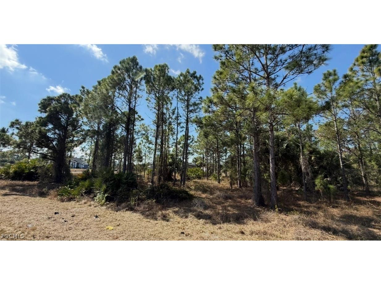 844 Bianca Avenue S Lehigh Acres FL 33974 2026008213 image11