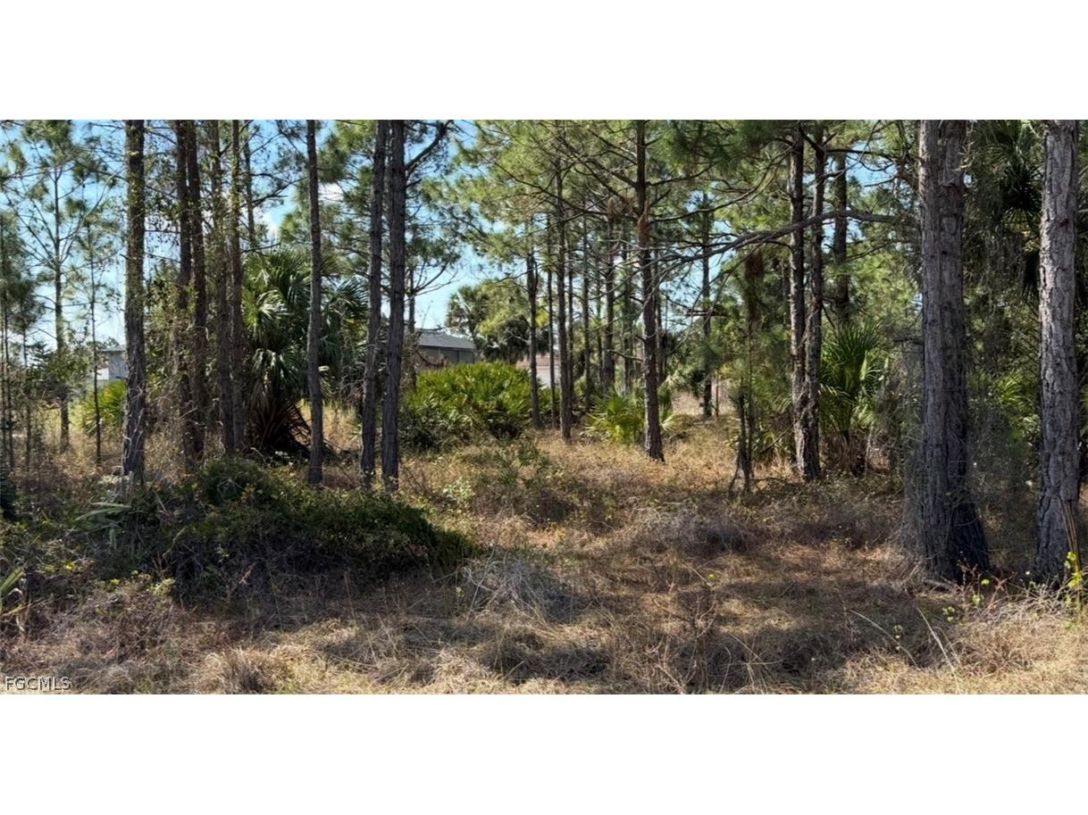 844 Bianca Avenue S Lehigh Acres FL 33974 2026008213 image12