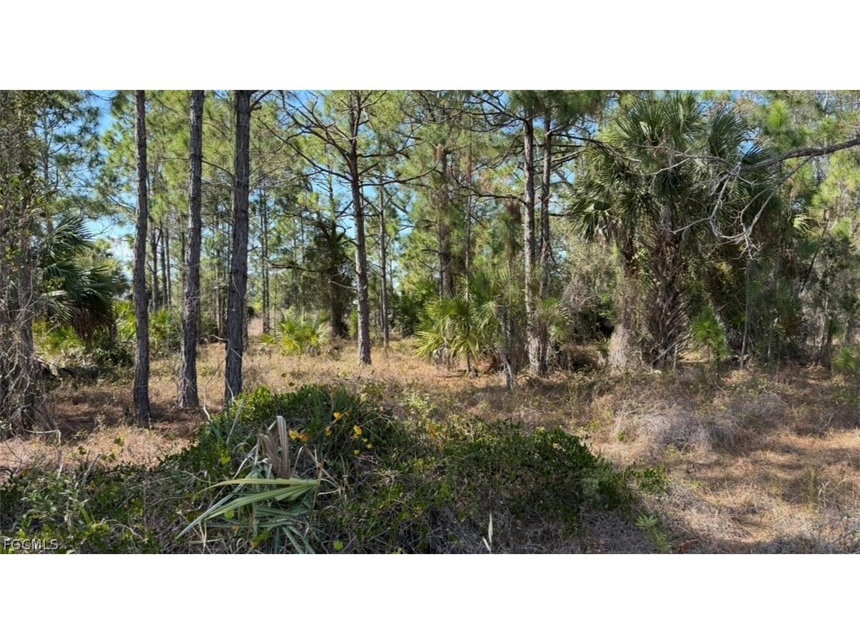 844 Bianca Avenue S Lehigh Acres FL 33974 2026008213 image14