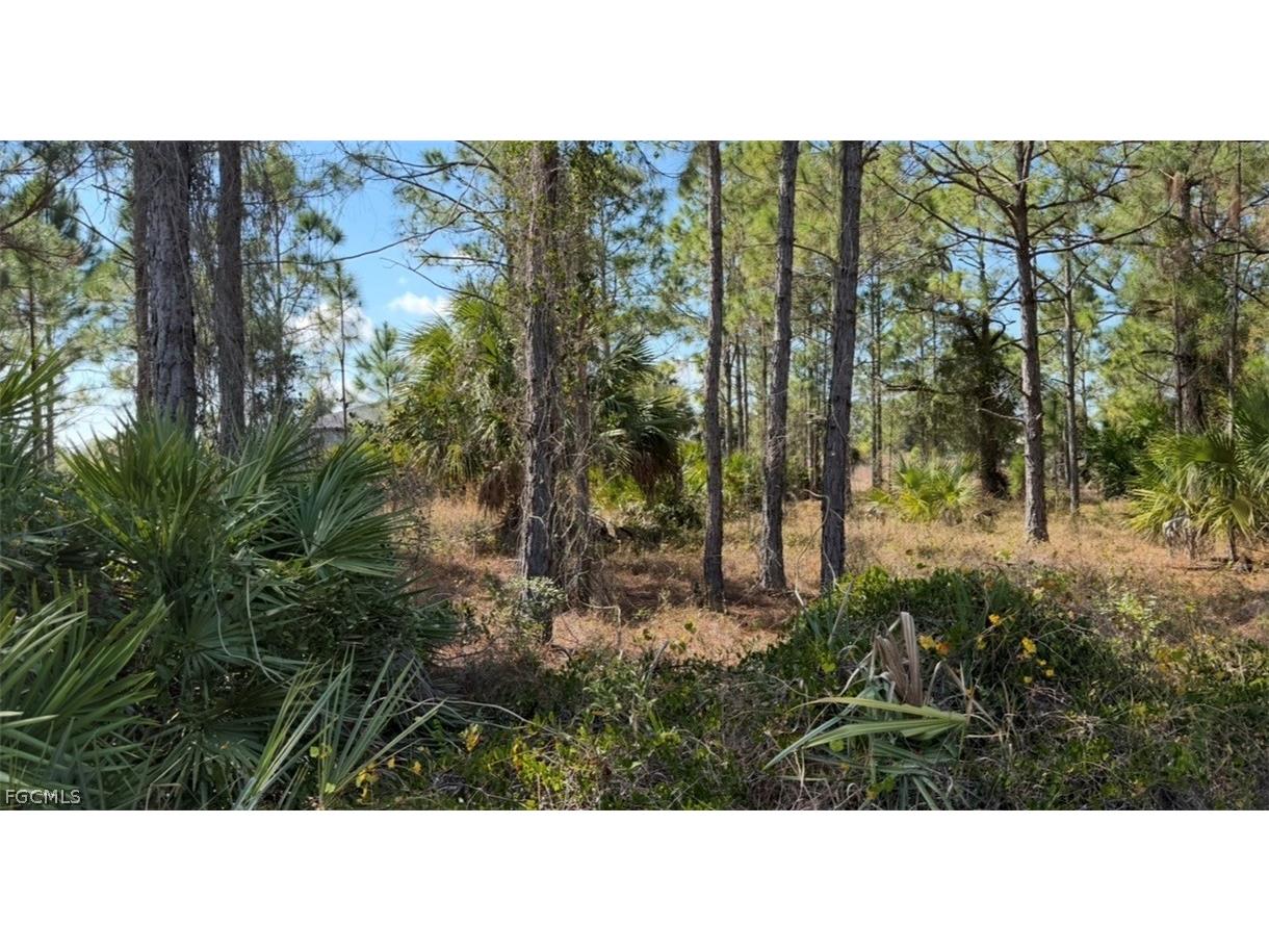 844 Bianca Avenue S Lehigh Acres FL 33974 2026008213 image15