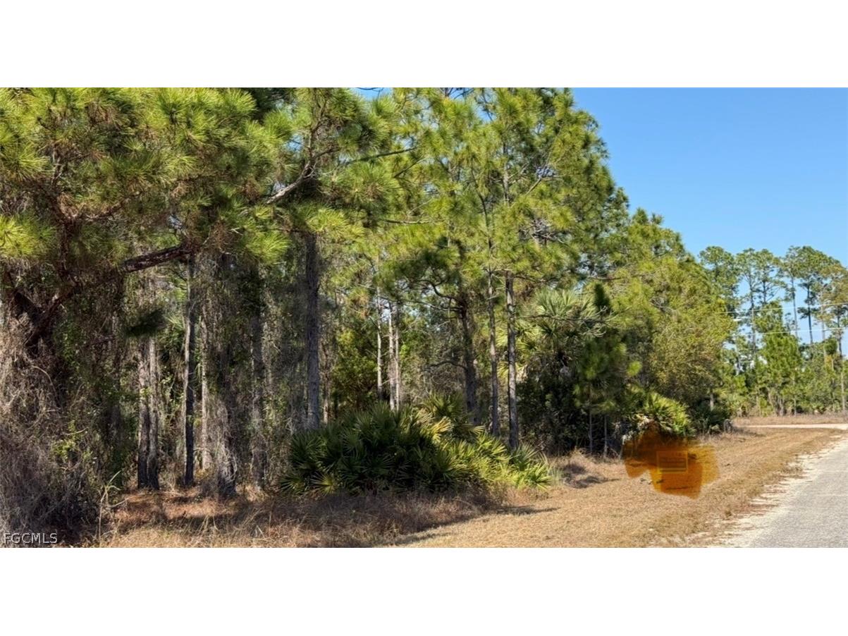 844 Bianca Avenue S Lehigh Acres FL 33974 2026008213 image17