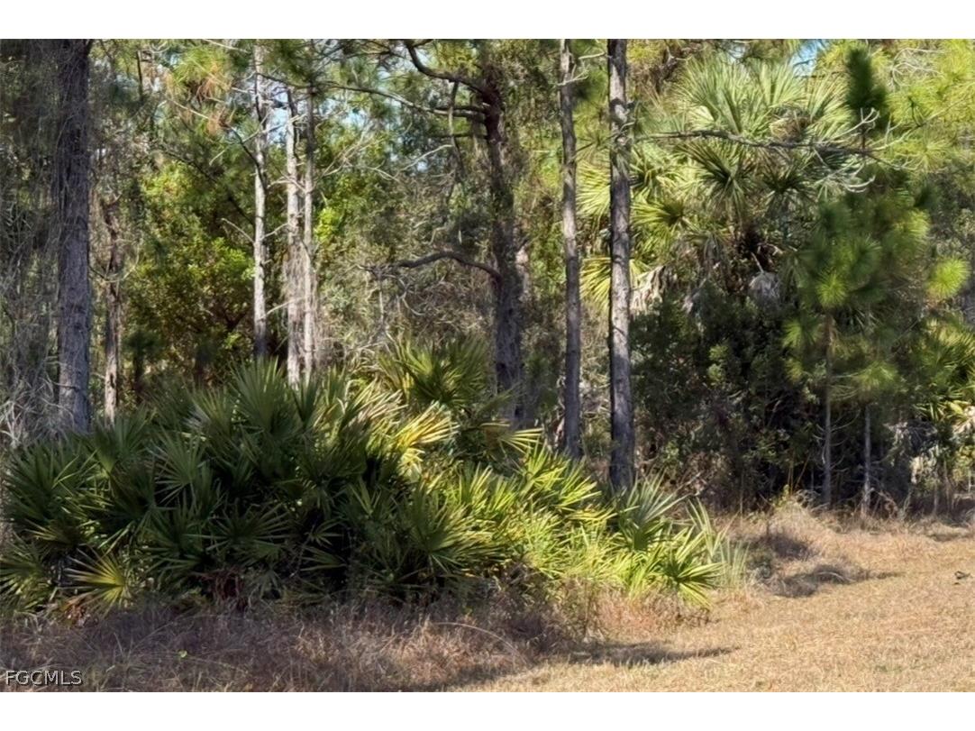 844 Bianca Avenue S Lehigh Acres FL 33974 2026008213 image18
