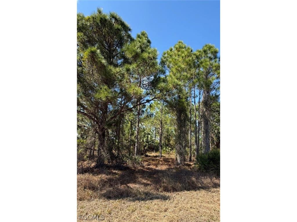 844 Bianca Avenue S Lehigh Acres FL 33974 2026008213 image7