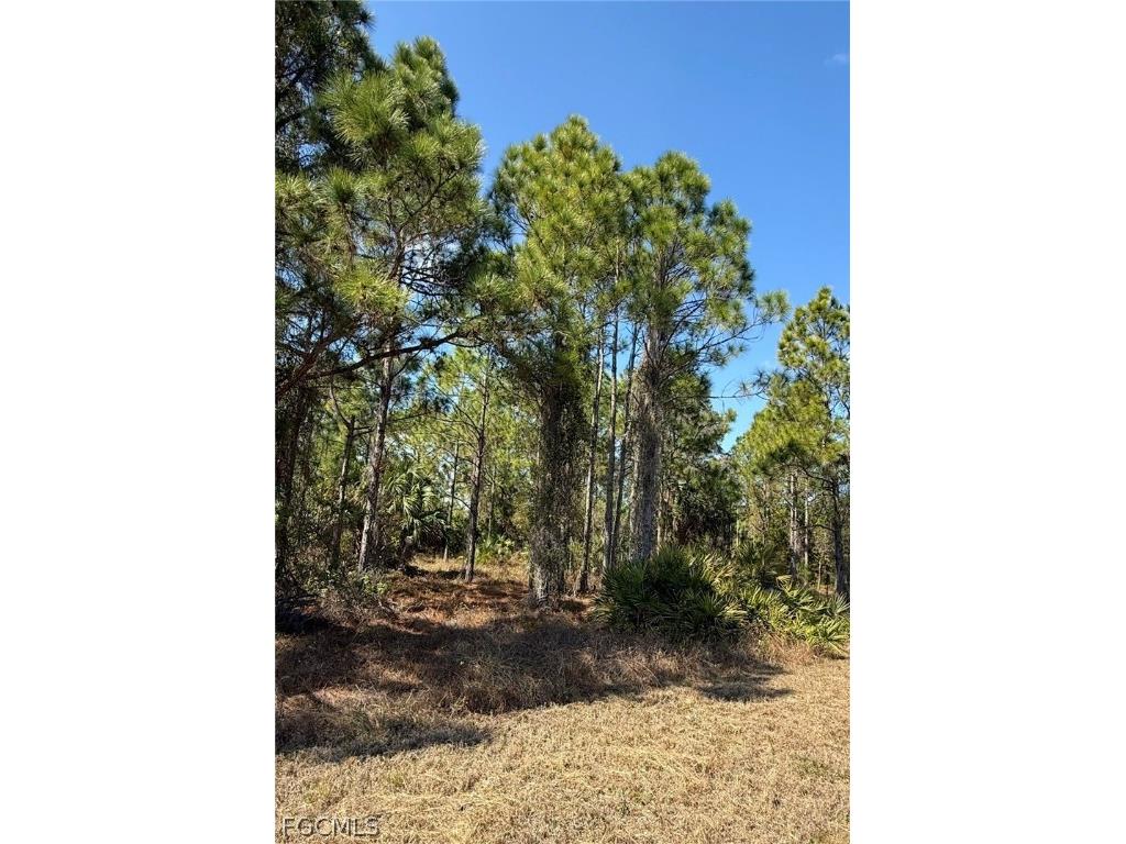 844 Bianca Avenue S Lehigh Acres FL 33974 2026008213 image8