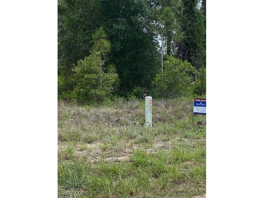 844 Calais Street E Lehigh Acres FL 33974 223086529 image1