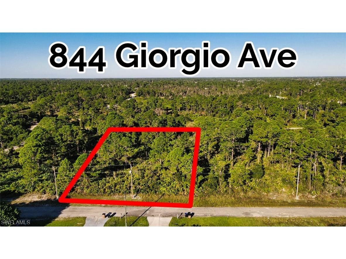 844 Giorgio Avenue S Lehigh Acres FL 33974 223075873 image1