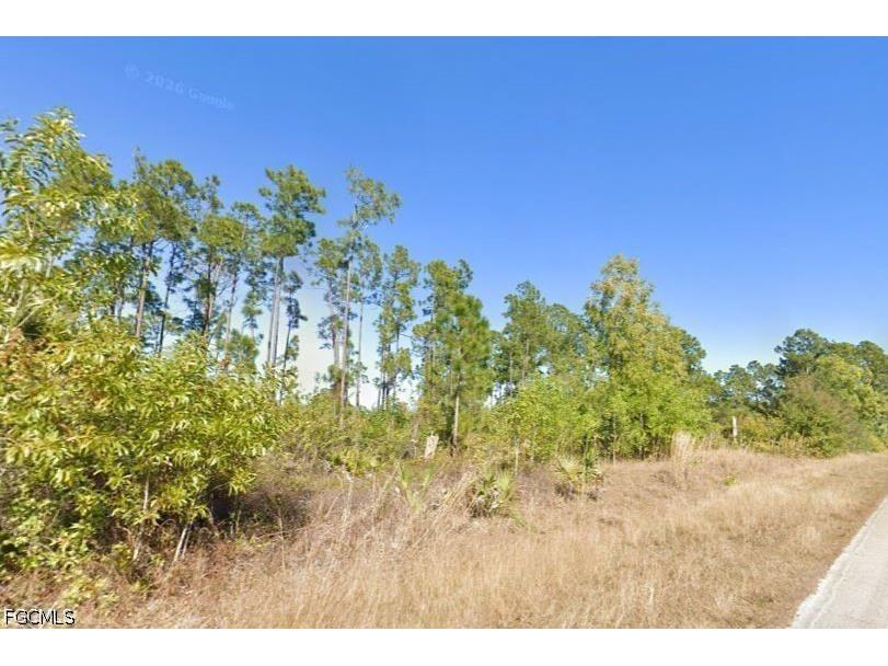 845 Bumby Street E Lehigh Acres FL 33974 2026026959 image1