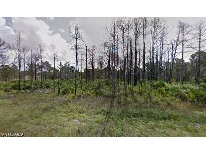 845 Downer Avenue S Lehigh Acres FL 33974 223036666 image1