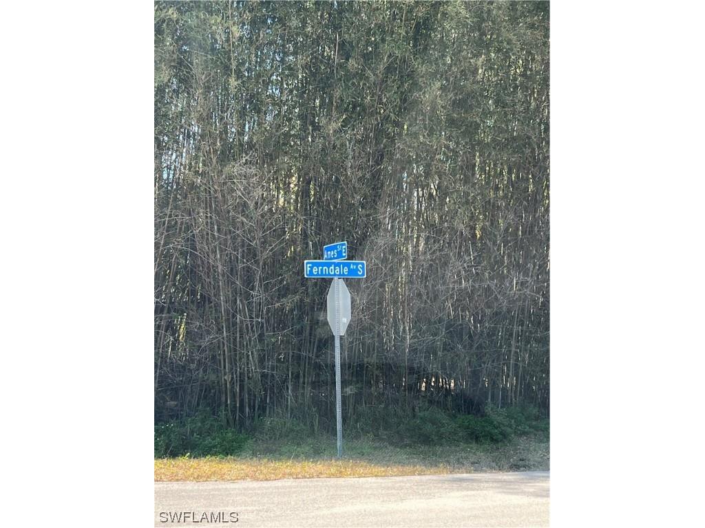 845 Ferndale Avenue S Lehigh Acres FL 33974 224018754 image1