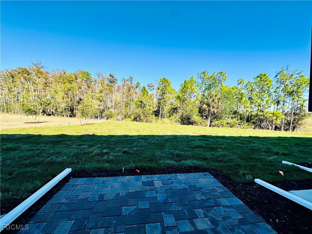 8459 Everly Preserve Drive Lehigh Acres FL 33971 2026000837 image44