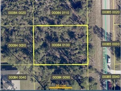 846 Downer Avenue S Lehigh Acres FL 33974 223020040 image1