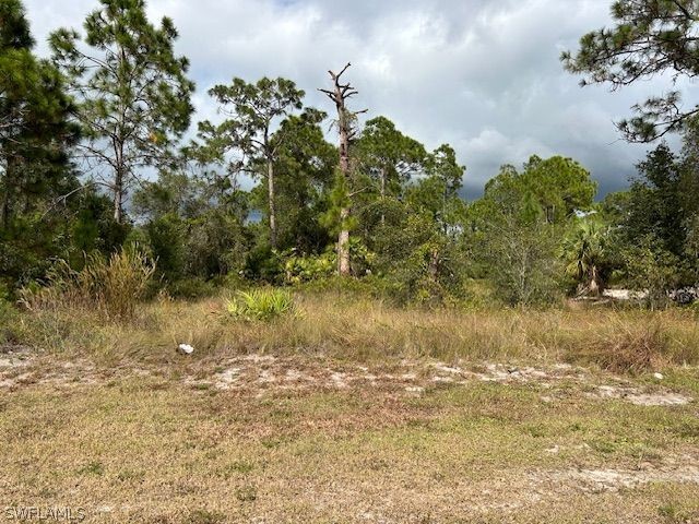 847/849 Carbon Street E Lehigh Acres FL 33974 224043225 image1