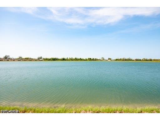 847 Stonewater Lake Terrace W Cape Coral FL 33993 226023082 image4