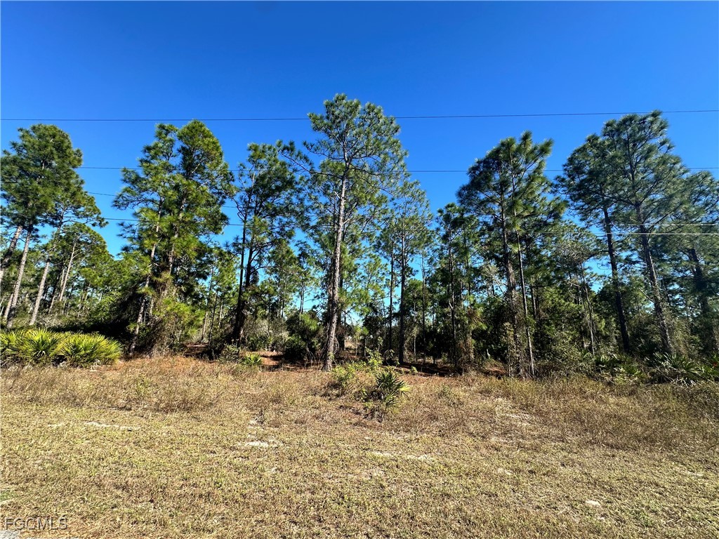 849 Knox Avenue S Lehigh Acres FL 33974 2026002542 image1