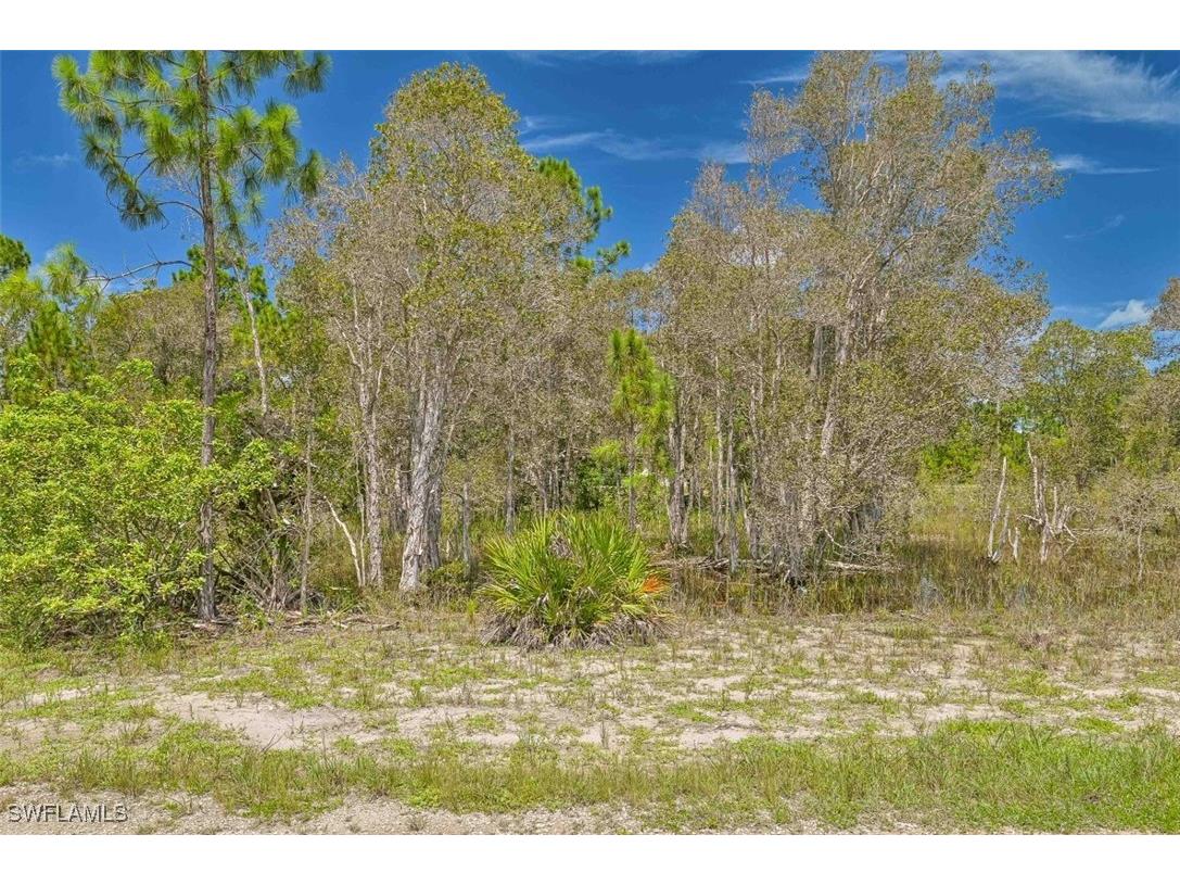 850 Andover Avenue S Lehigh Acres FL 33974 224083781 image1