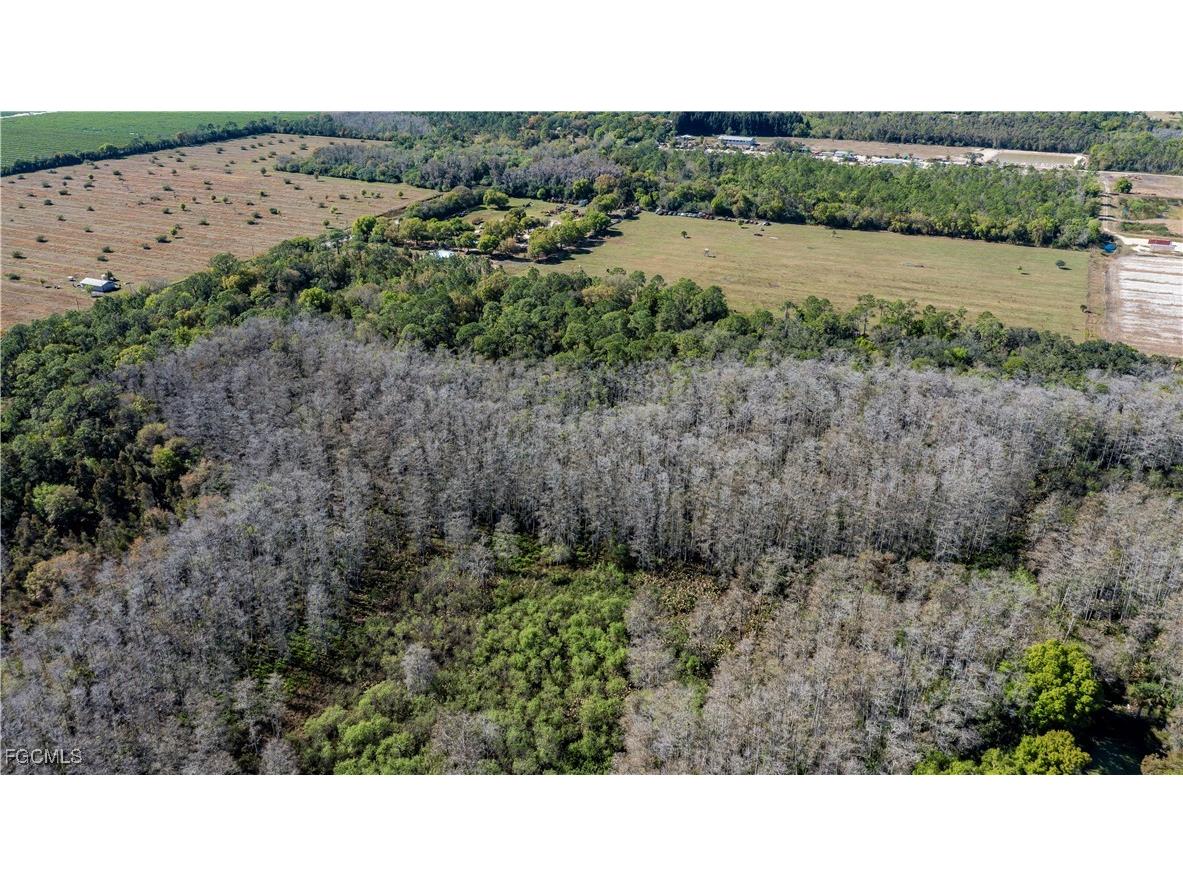 850 G Road Labelle FL 33935 2026001076 image22