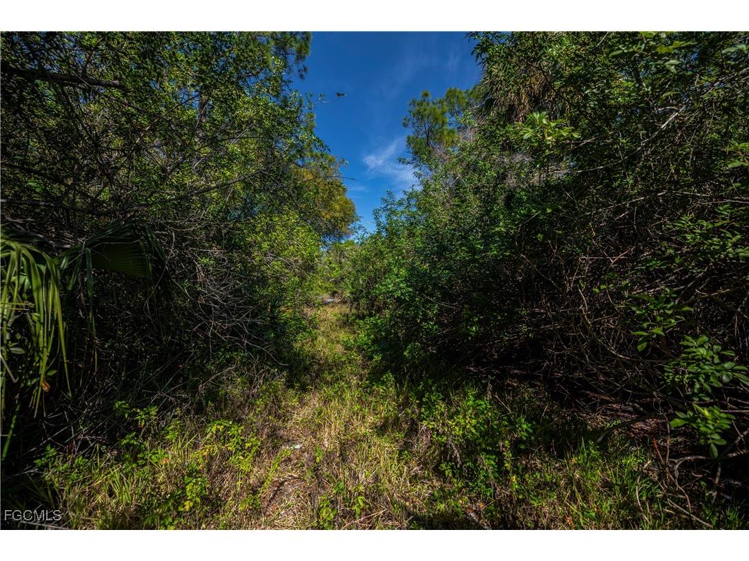 850 G Road Labelle FL 33935 2026001076 image4