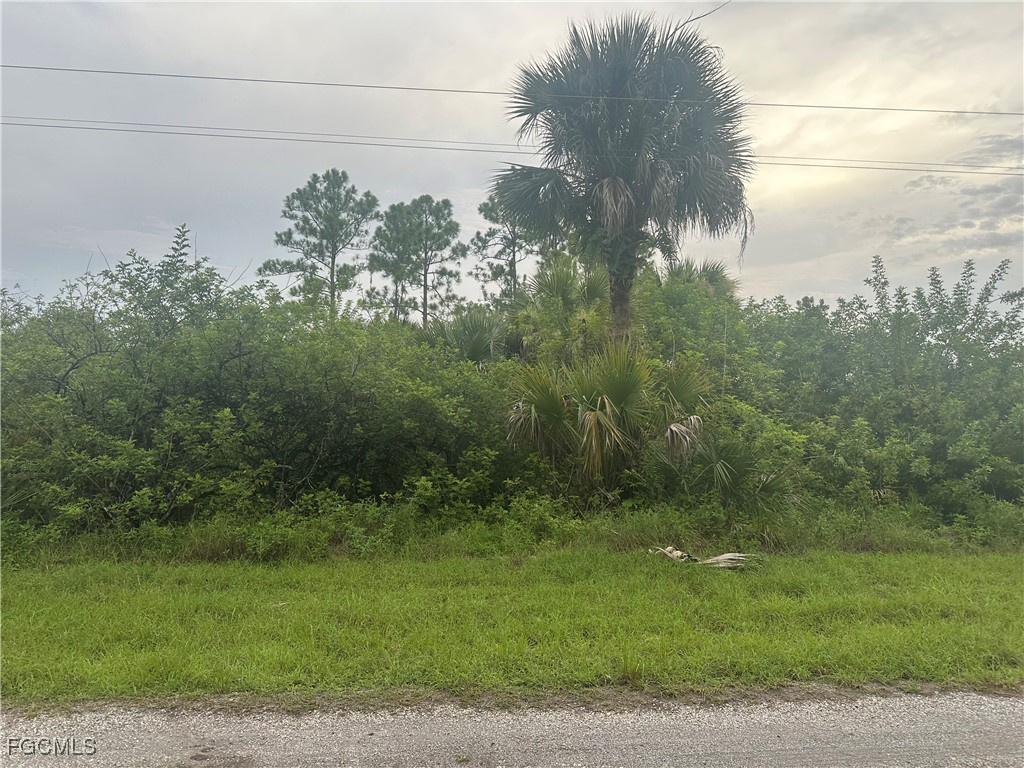 850 Haskell Street E Lehigh Acres FL 33974 2025013636 image5