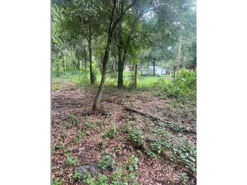 850 N Live Oak Street Clewiston FL 33440 2025005082 image1