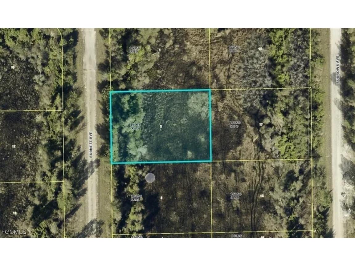 851 Burnett Avenue Lehigh Acres FL 33974 2025023650 image1