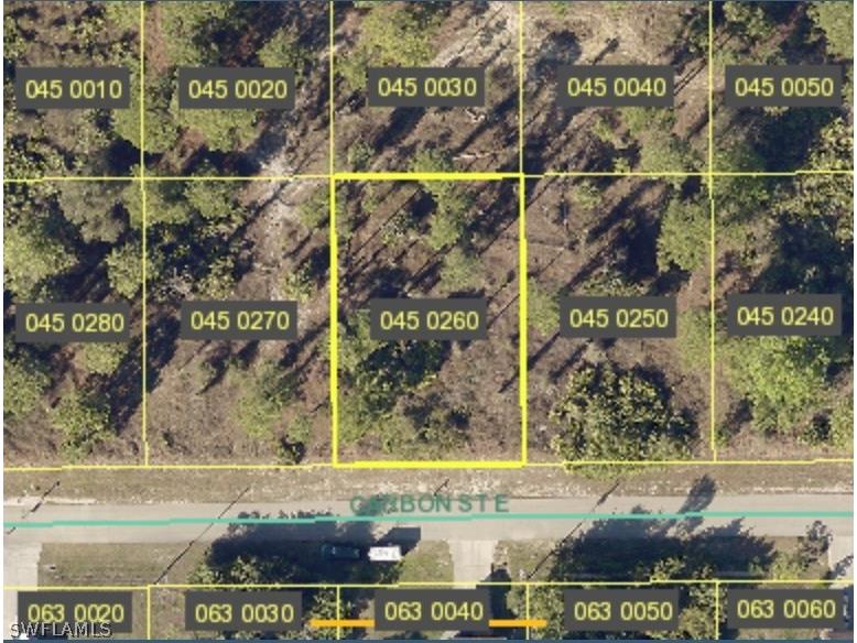 851 Carbon Street E Lehigh Acres FL 33974 223010559 image1