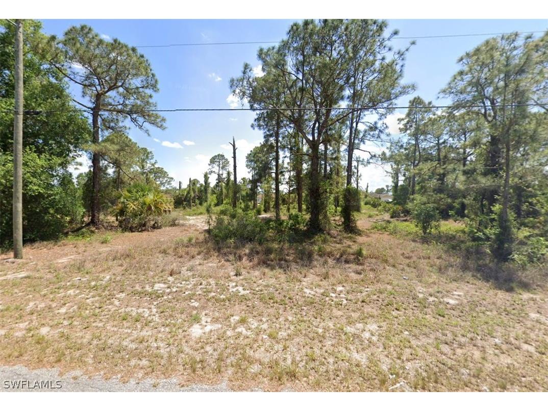 852 Carpenter Street E Lehigh Acres FL 33974 226010351 image1
