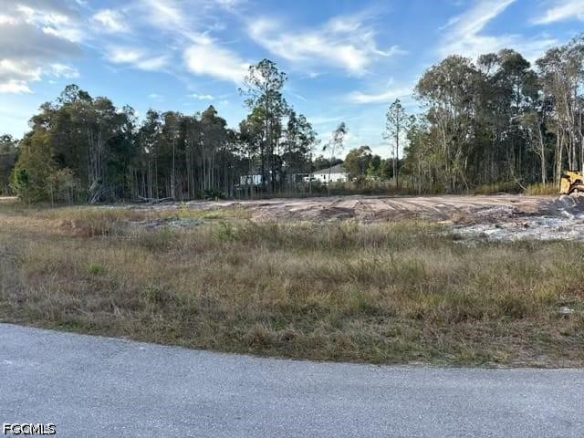 852 Dudley Avenue S Lehigh Acres FL 33974 2026015603 image3