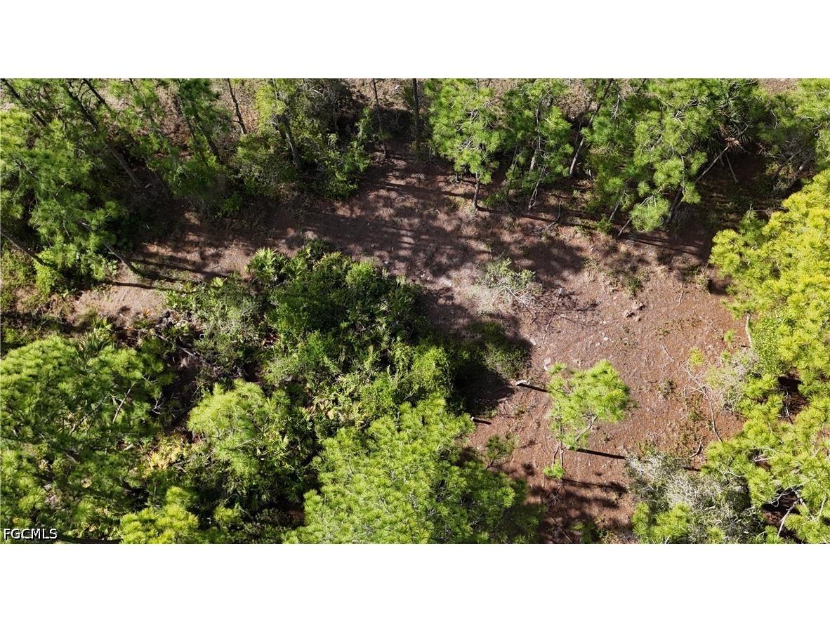 852 Gaylord Avenue S Lehigh Acres FL 33974 2026015753 image13