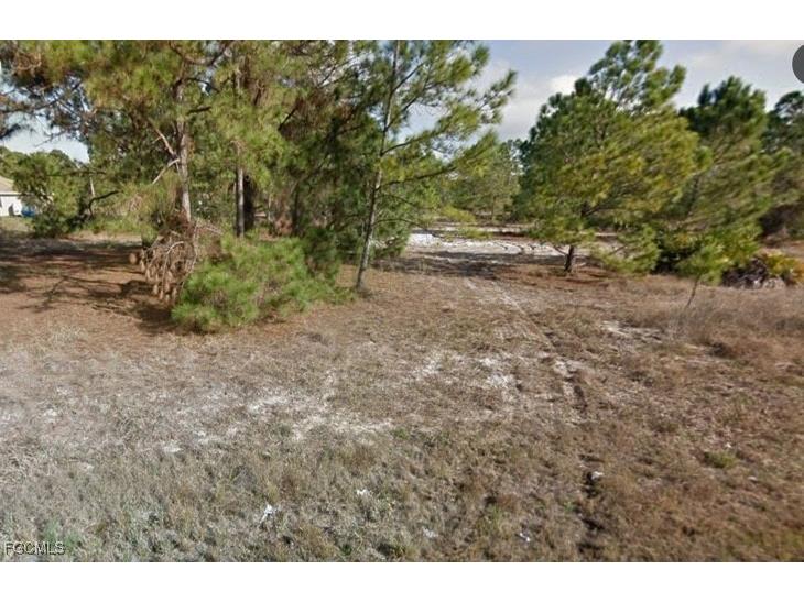 853 Carpenter Street E Lehigh Acres FL 33974 2025014826 image1