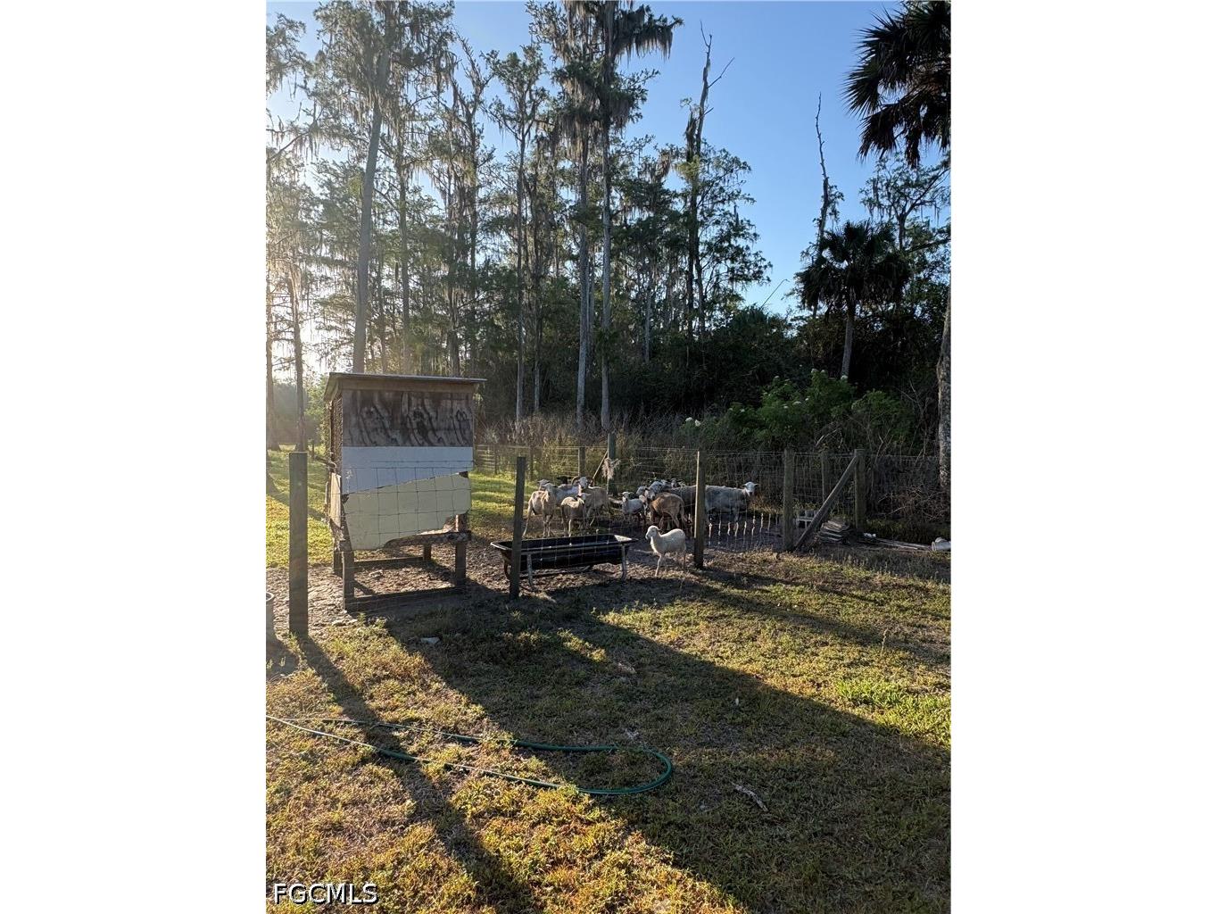 855 N Datil Street Clewiston FL 33440 2026024217 image18